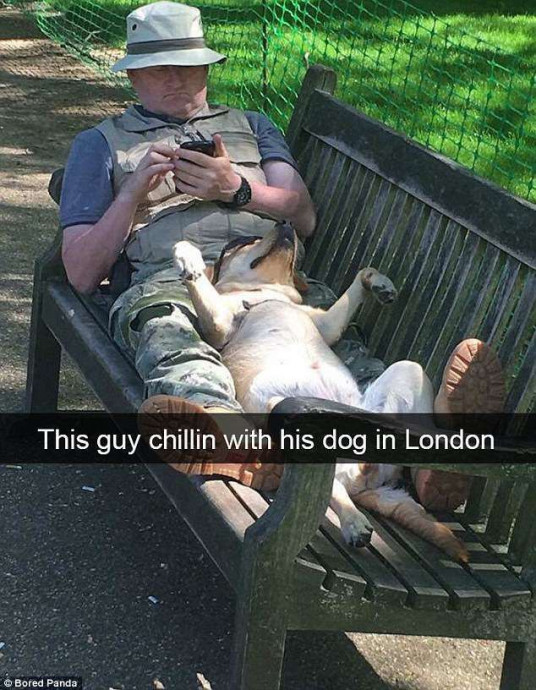 Dog Snapchats Will Never Let You Down