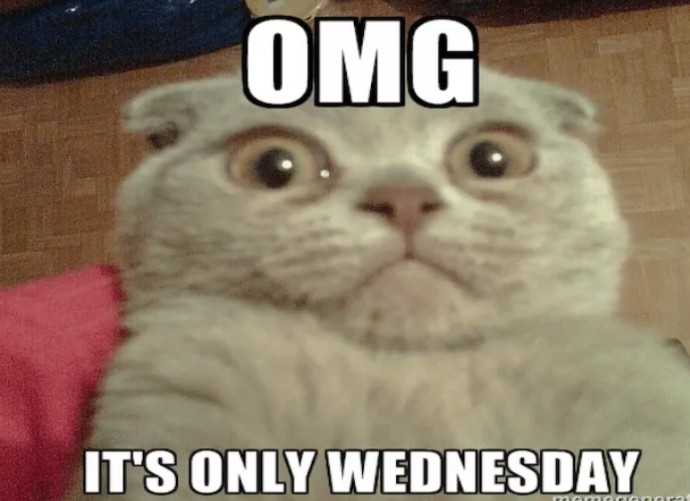 Wow! It's already Wednesday!
