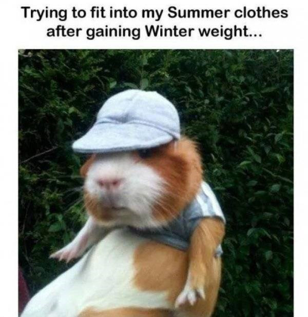 Another Summer Day With Funny Pics