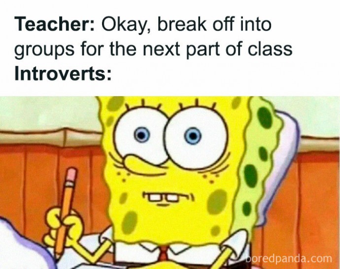 Memes to Send to Your Introvert Friends
