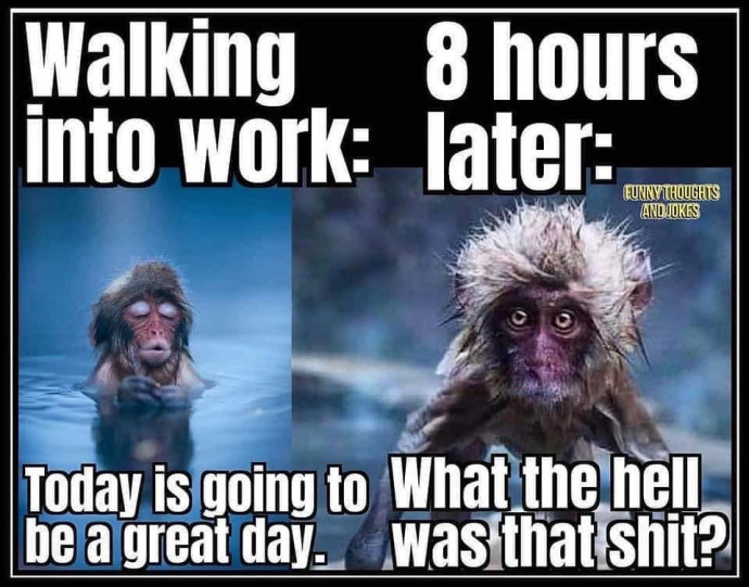 Funny Work Memes You Will Laugh At