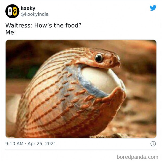 Some of The Best Food-Related Memes