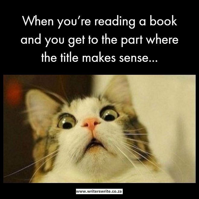 Some Pictures Book Lovers Will Understand
