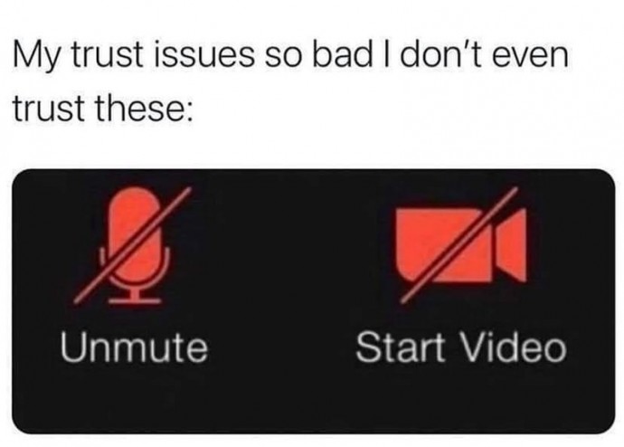 Normie Memes for the Average Person