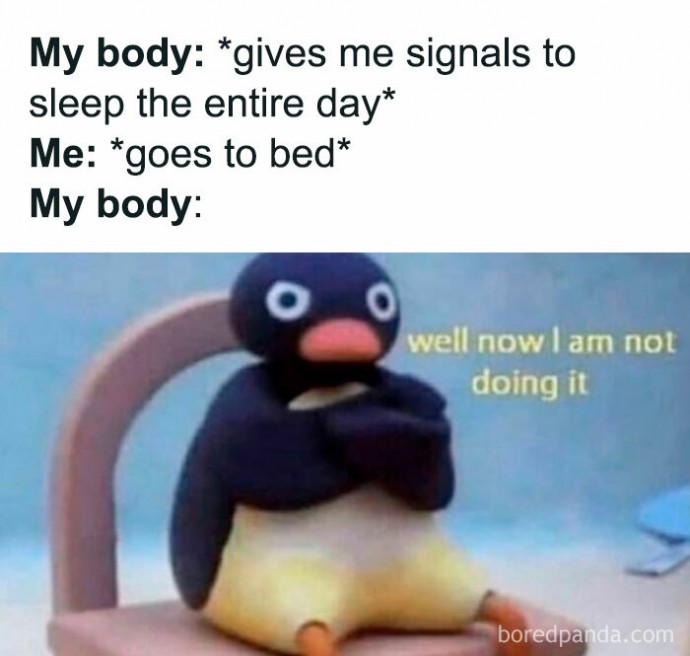 Some Really Funny Memes for a Good Laugh