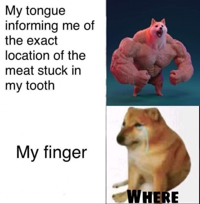 Absolutely True Memes for Everyone
