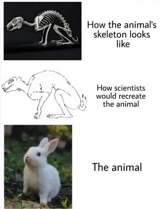 Funny Science Memes for Your Entertainment