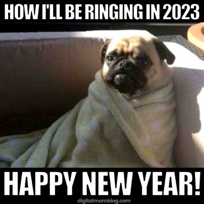 Happy New Year Memes!