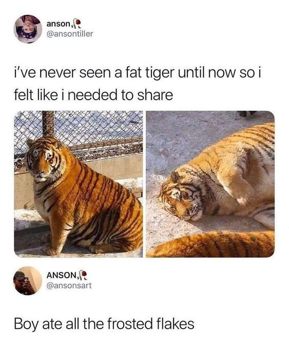 Wholesome and Funny Animal Pics