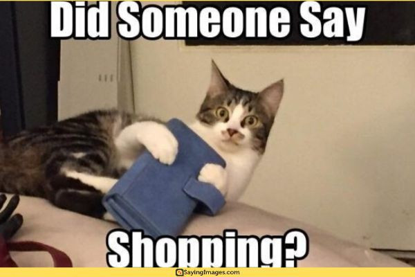 Funny Memes for All the Shopping Fans
