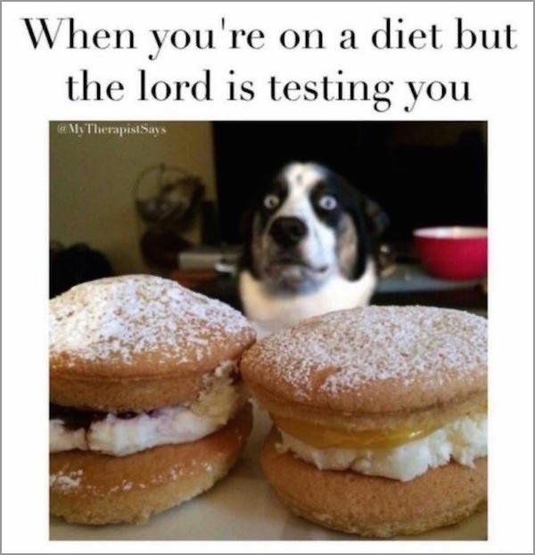 Funny Memes for Anyone Who is Always Hungry