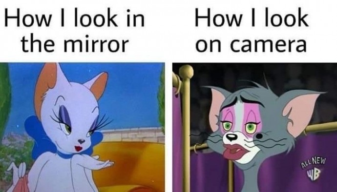 Funny Tom and Jerry Memes for Your Weekend