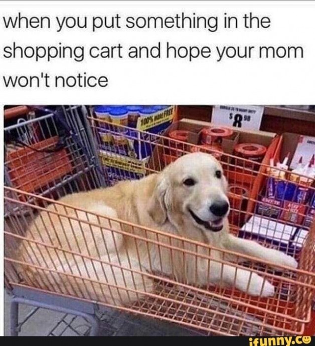 Shopping Memes That Are Just Too Hilarious