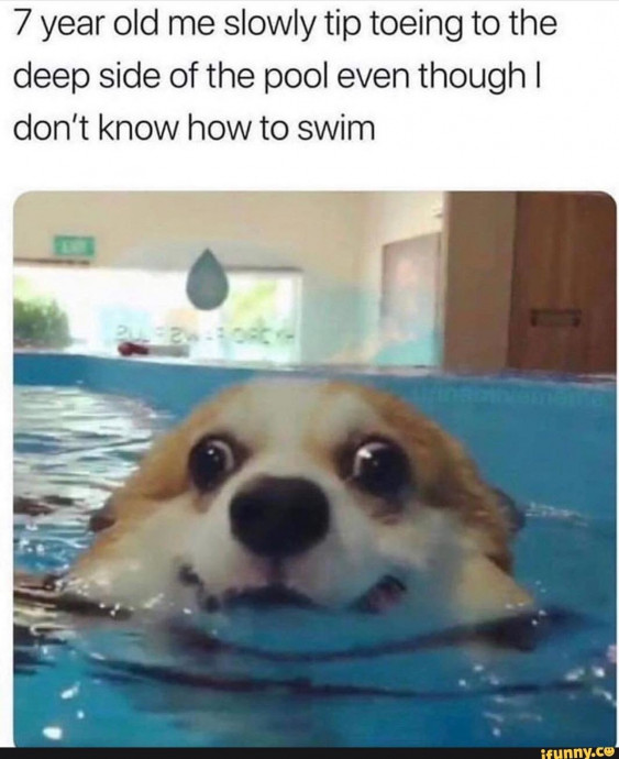 Summer Pool Memes