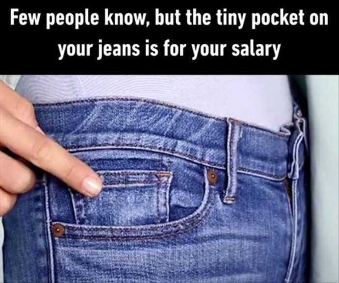 Funny Pics for Some Rest