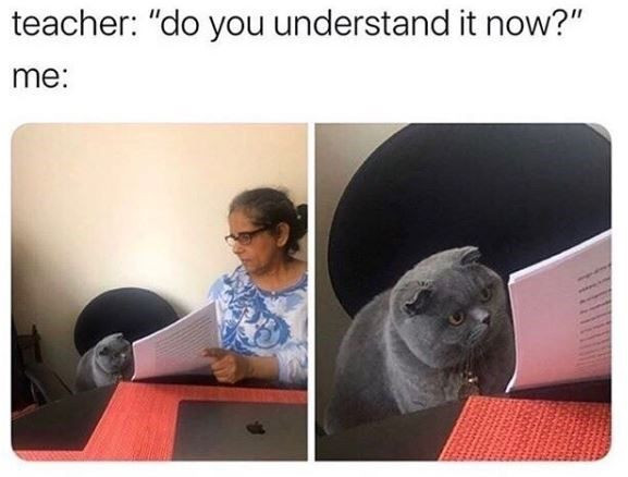 Some Funny Pics Dedicated to Cats You Need Right Now