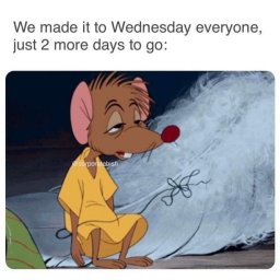 Top Wednesday Memes Ready to Lift up Your Mood