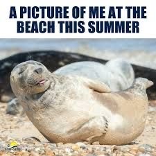 Cool Summer Memes to Get You Into Spirit