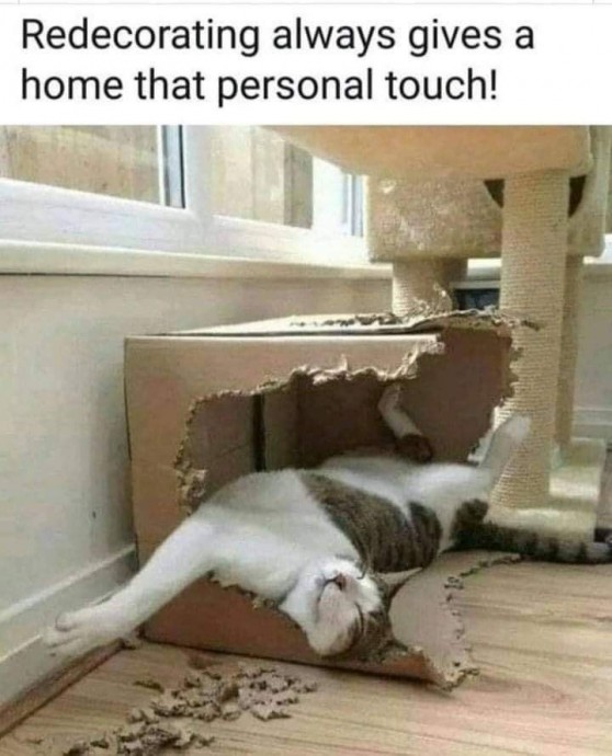 Cat People Memes With Their All Wholesomeness