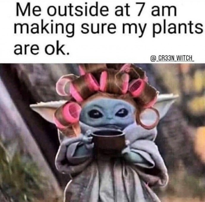 Funny memes for those who love plants