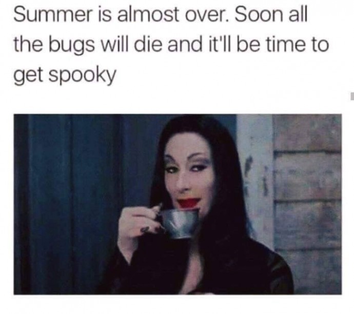 Funny Memes for Everyone Waiting for the Halloween Season