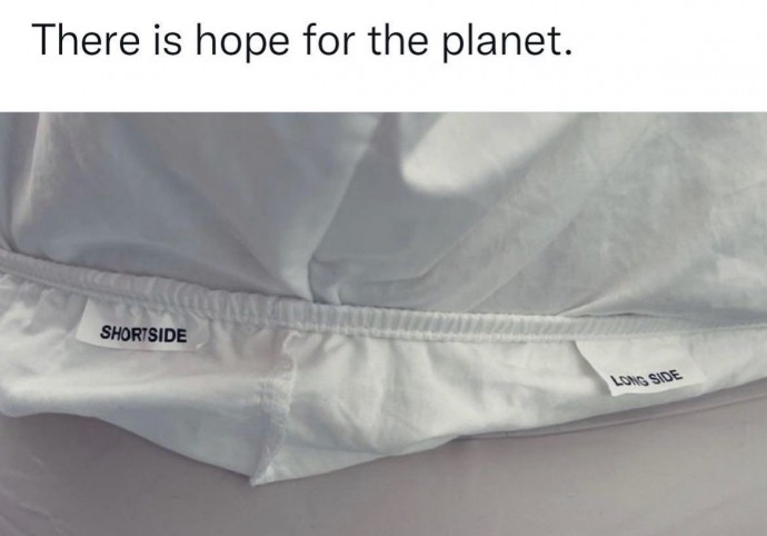 Relatable and Unusual Pics for Your Day