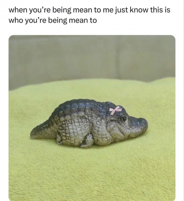 Amazing Animal Memes So You Can Have Some Good Time