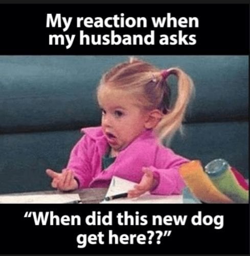 Marriage Memes That are So Accurate it Hurts