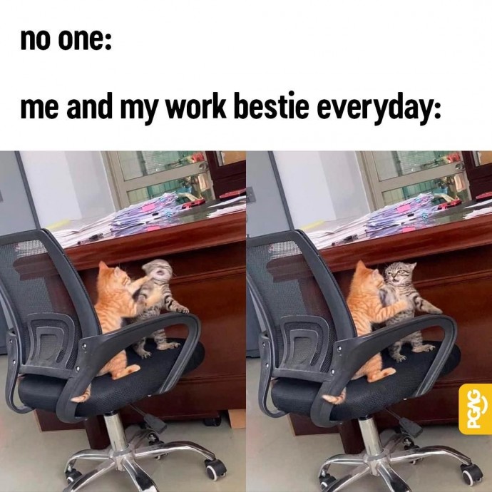 Funny Work Life Memes to Laugh At