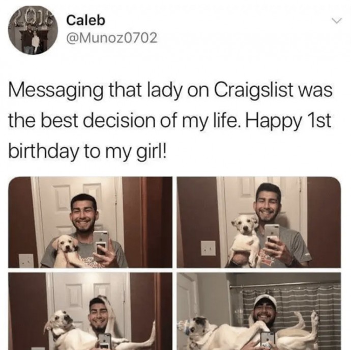Wholesome and Funny Dog Tweets