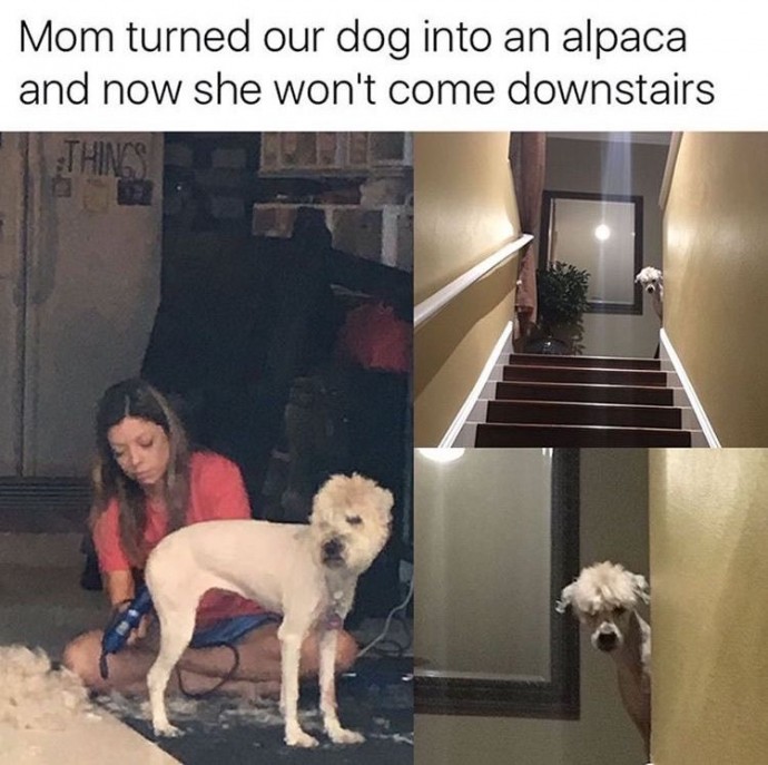 Sweet Dog Pics to Enjoy This Saturday