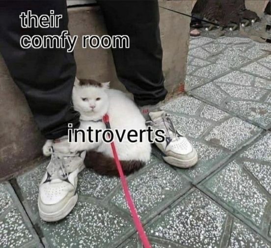 Top Funny Memes for Your Happy Friday
