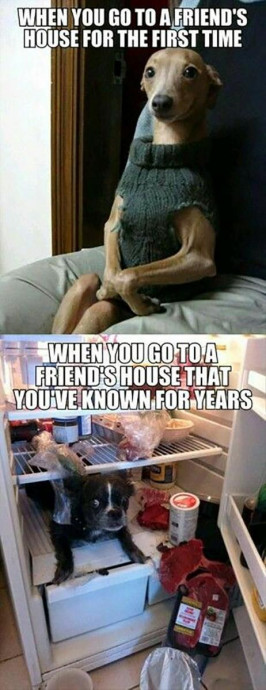 Funny Memes About Friendship
