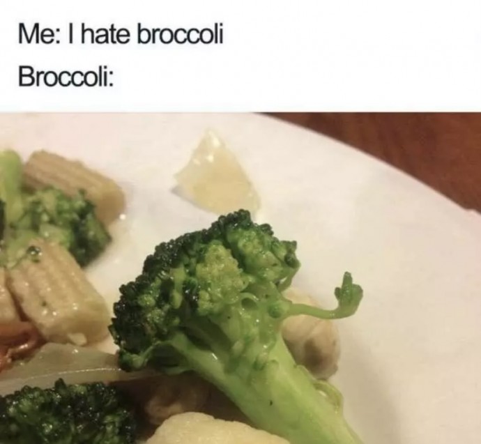 Funny Memes for People Who Relate to Struggles of Eating Healthilly