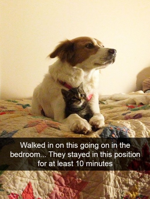 Amusing Pics That Will Cheer You Up