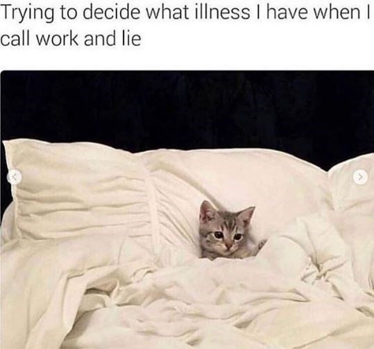 These Lazy Cat Memes are All You Need This Caturday