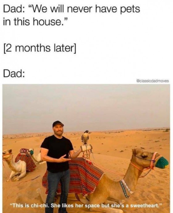 Funny Dad Memes and Jokes