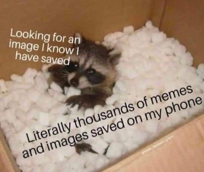 Relatable and Unusual Pics for Your Day