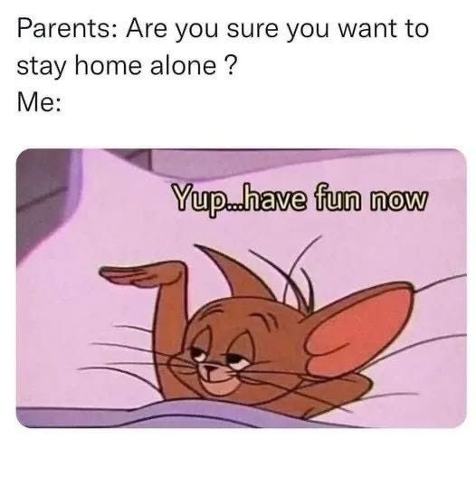 Funny Tom and Jerry Memes for Your Weekend