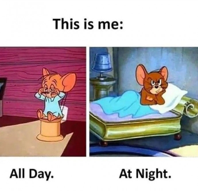 Funny Tom and Jerry Memes for Your Weekend