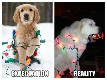 Expectation vs reality on Christmas