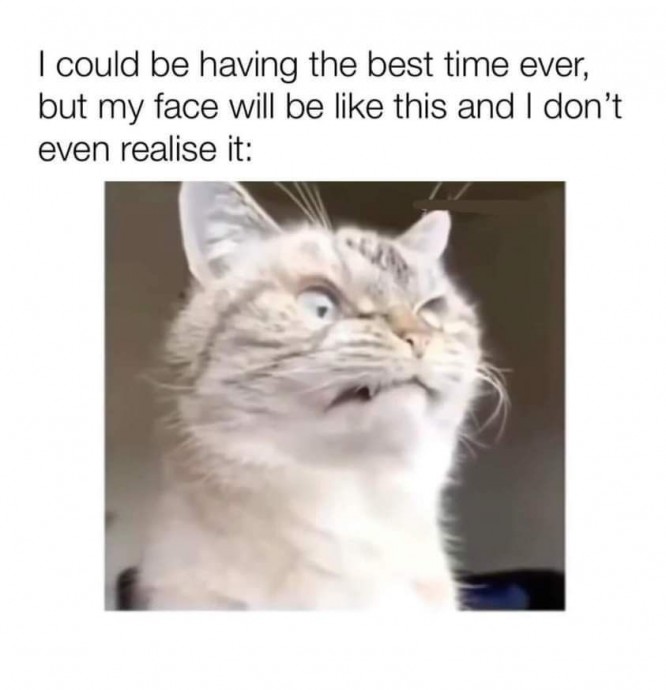 Hilarious Animal Pics of the Day