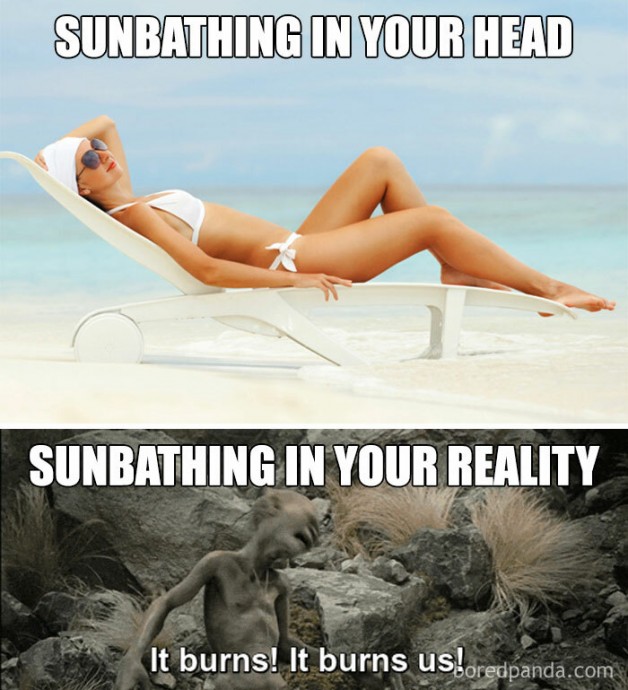 Hot Summer Weather Pics to Make Your Day Funnier