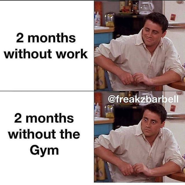 Funny Memes About Trying for a Summer Body
