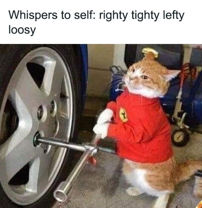Meowtastic Posts to Bring You a Dose of Feline Goodness