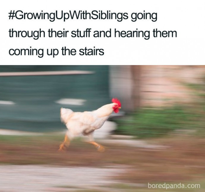 A Dump of the Best Sibling Memes Ever