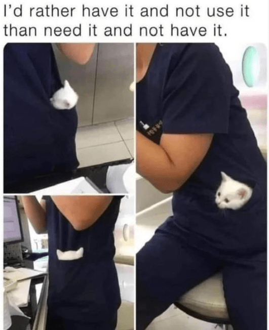 High Quality Cat Memes to Maintain Your Good Mood