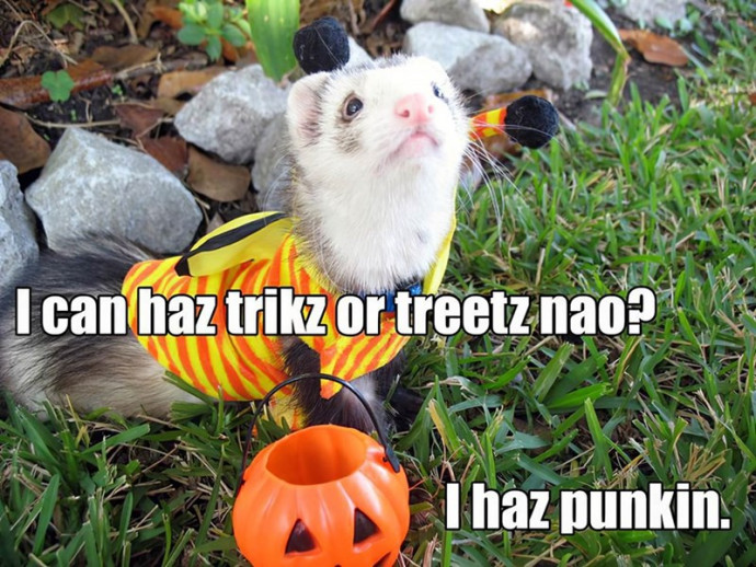 Start the Day With a Bunch of Halloween Memes