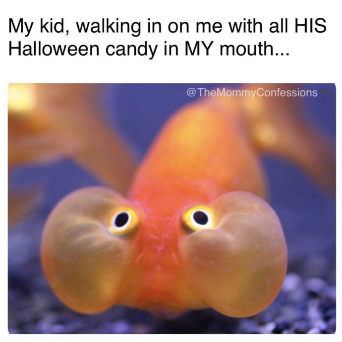Funny Memes for All Who are Waiting for Halloween