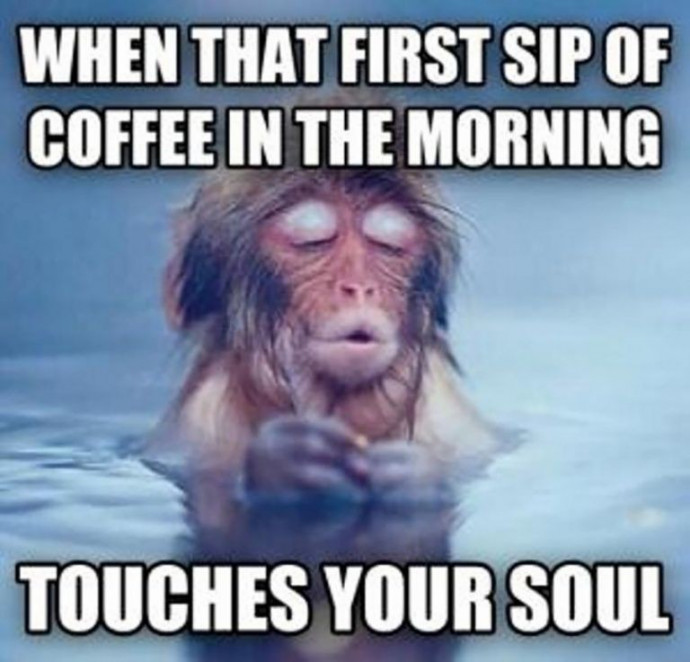 Funny Memes for People Who Love Start Their Day With Coffee